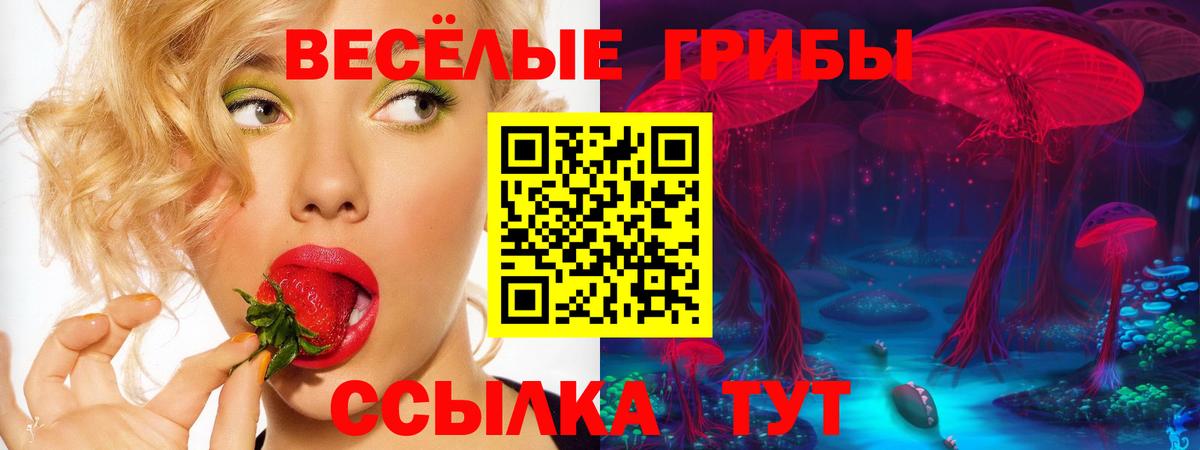 ГАШ Мценск
